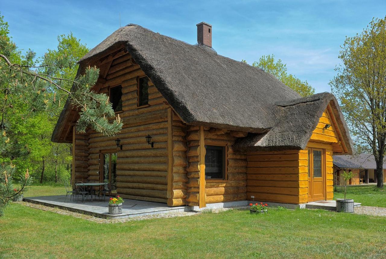 Dom Pod Sosnami Villa Gryżyna Kültér fotó