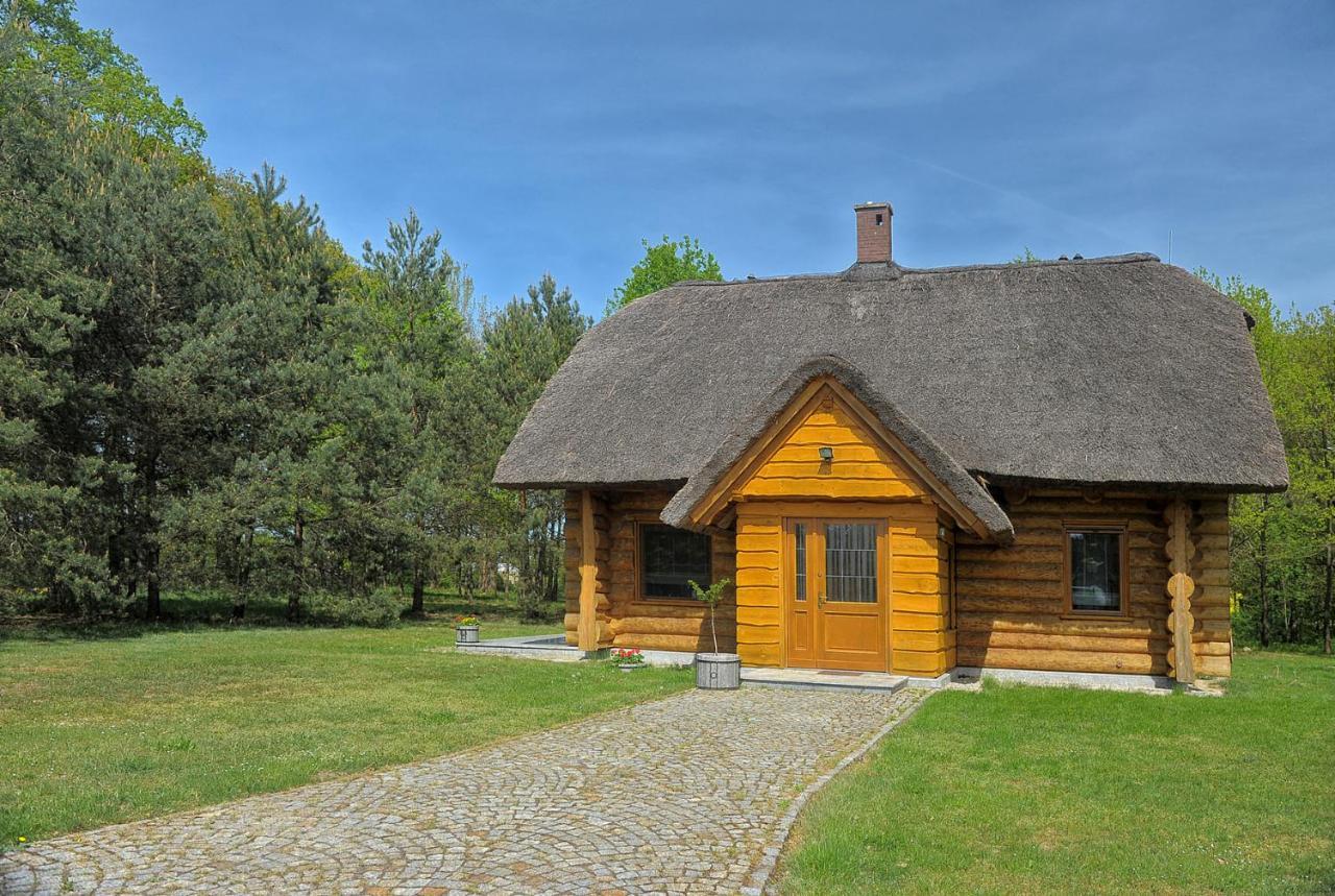 Dom Pod Sosnami Villa Gryżyna Kültér fotó